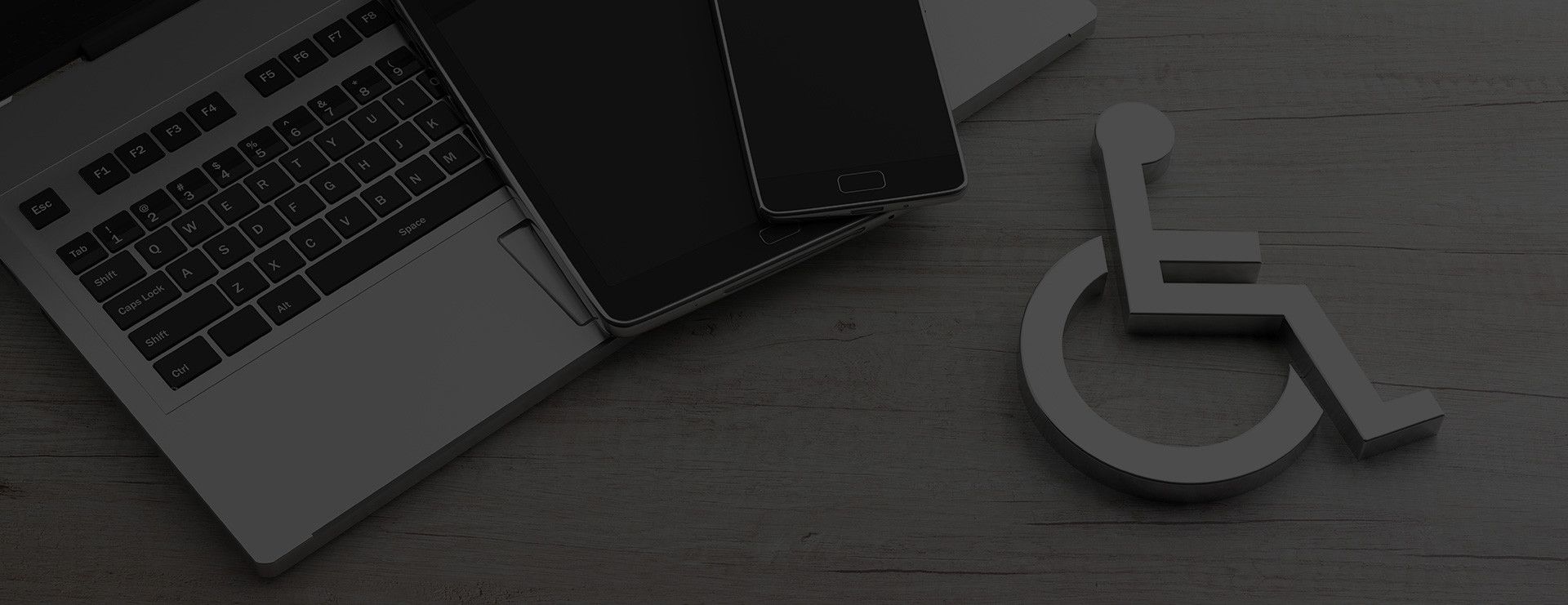 Web accessibility devices